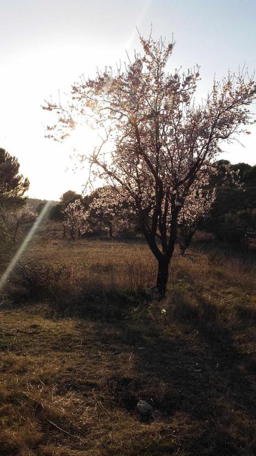 Casa Rural Con Jacuzzi La Parrilla  Eksteriør billede